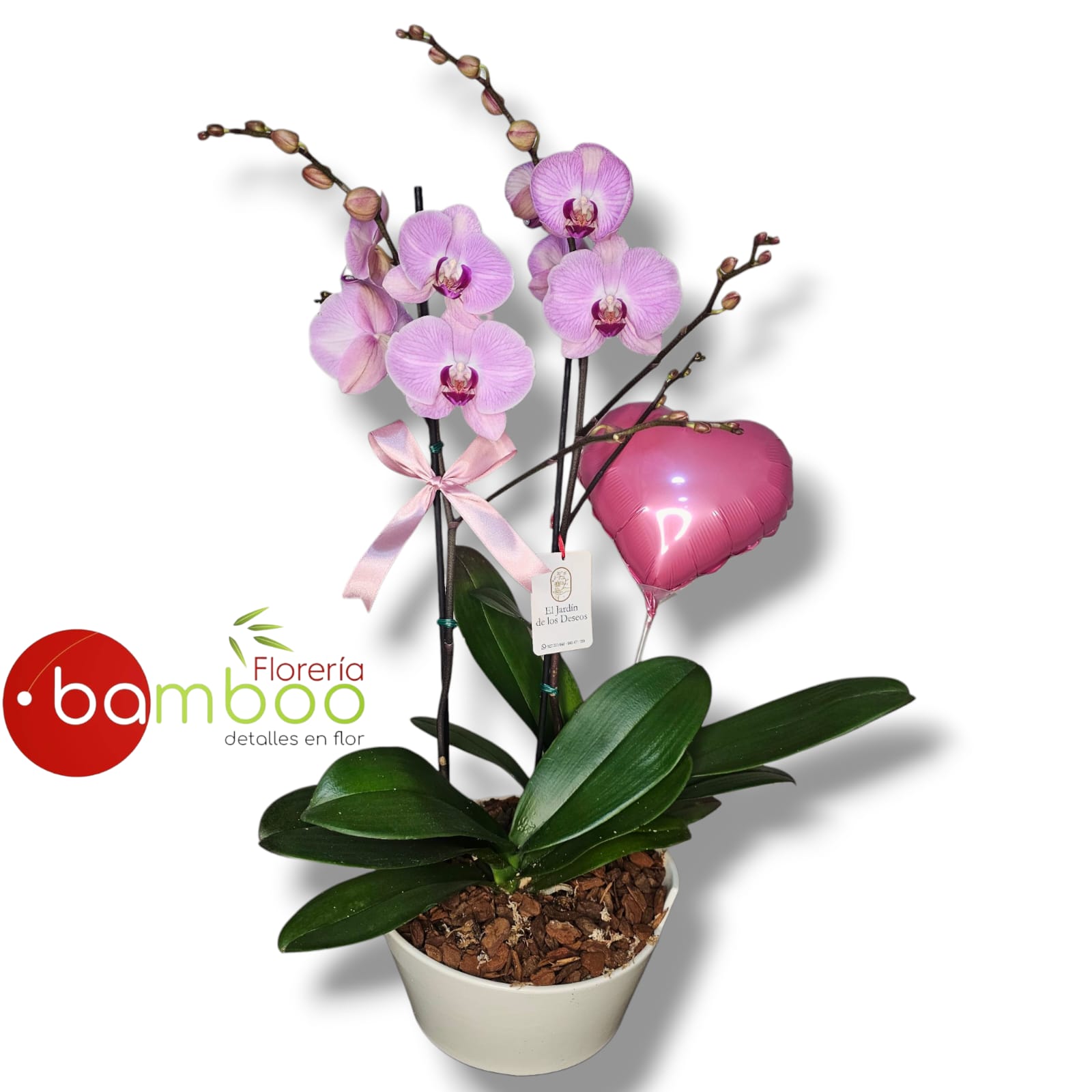 Box de 2 orquídeas