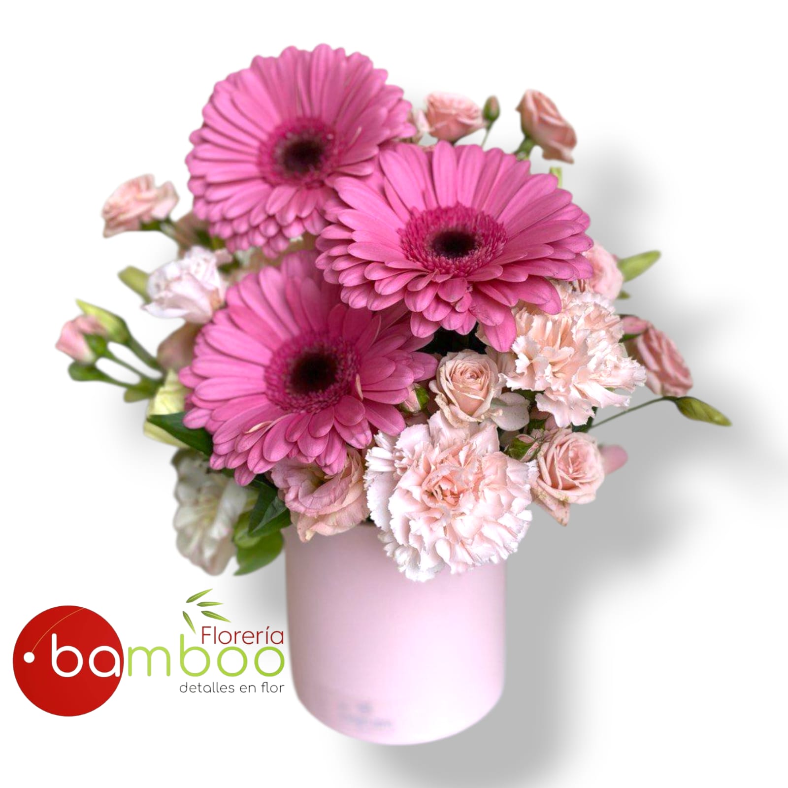 Box Gerberas