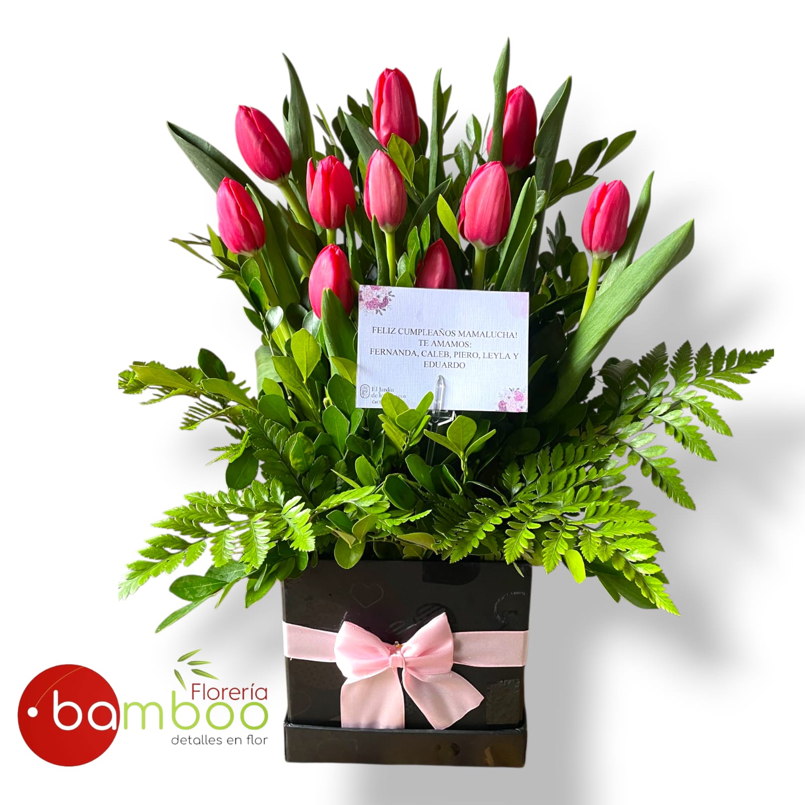 Box de Tulipanes