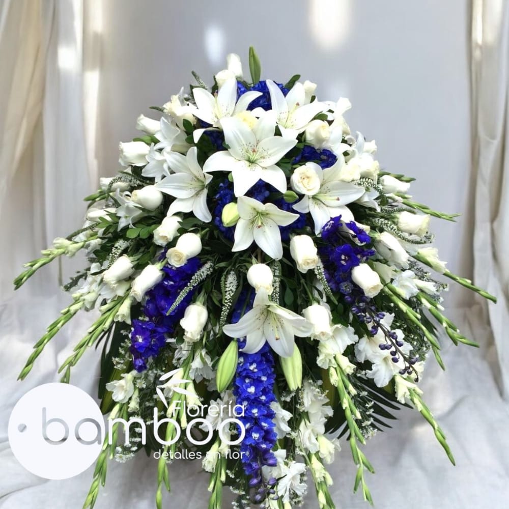 Manto Blue