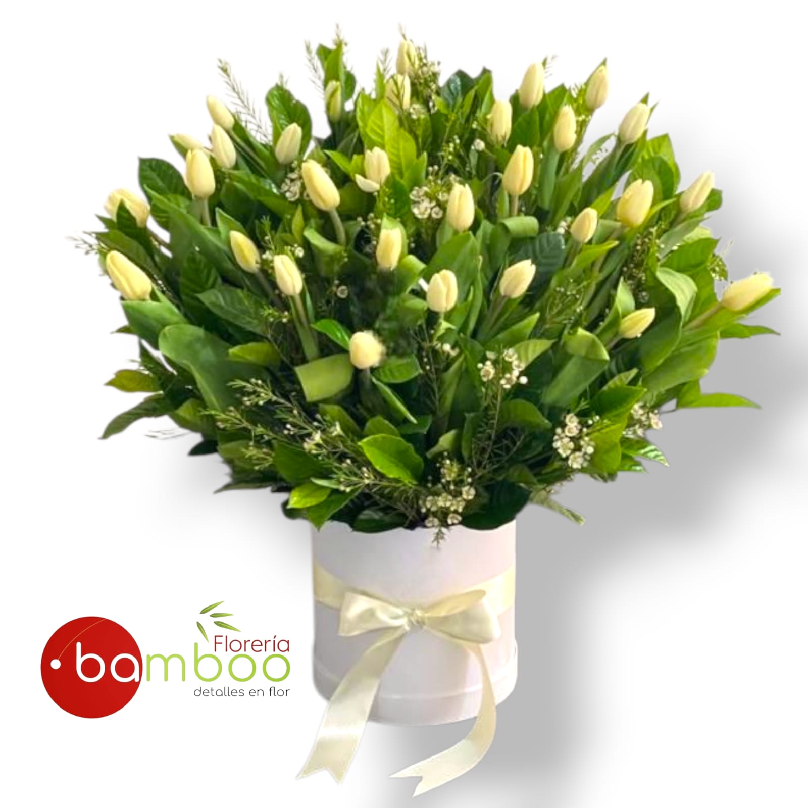 Box 30 tulipanes