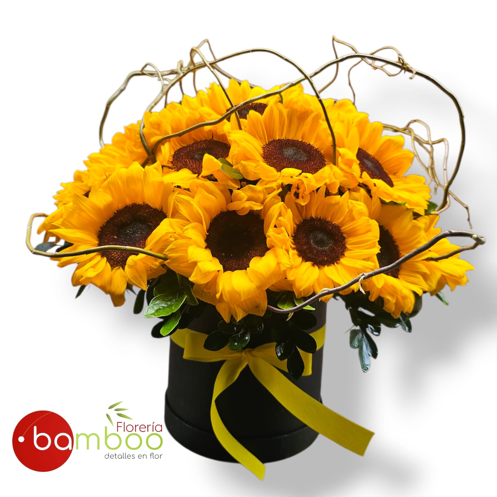 Box Girasol Salvaje