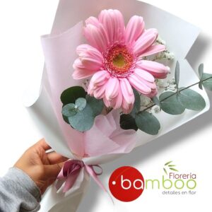 GERBERA BARBIE