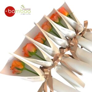 ROSAS CORPORATIVO