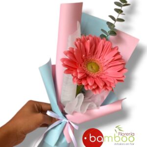 GERBERA CORPORATIVO